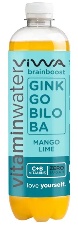 Viwa Vitaminwater BrainBoost Mangue, Citron Vert et Litchi 600 ml