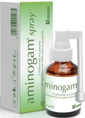 Aminogam Spray Coadiuvante Mucosa Gengivale Flacone 15 ml