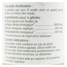 Nat & Form Bio Ginkgo Biloba 200 gélules végétales