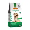 Biofood Chien Mini Croquettes Petit Chien Puppy sans Blé 1,5kg