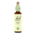 Bachblüten Bachblüten 15 Stechpalme 20 ml