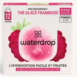 Waterdrop Pack Découverte Thé Glacé