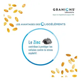 Granions Prostate Lot de 2 x 40 gélules