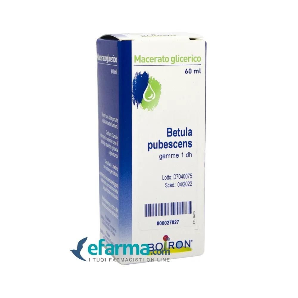 Boiron Betula Pubescens Macerato Glicerico 60 ml