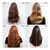 Redken Acidic Color Gloss Shampoing pour cheveux colorés