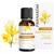 Pranarom Diffusion Synergies Wohlbefinden zu Hause BIO 30ml