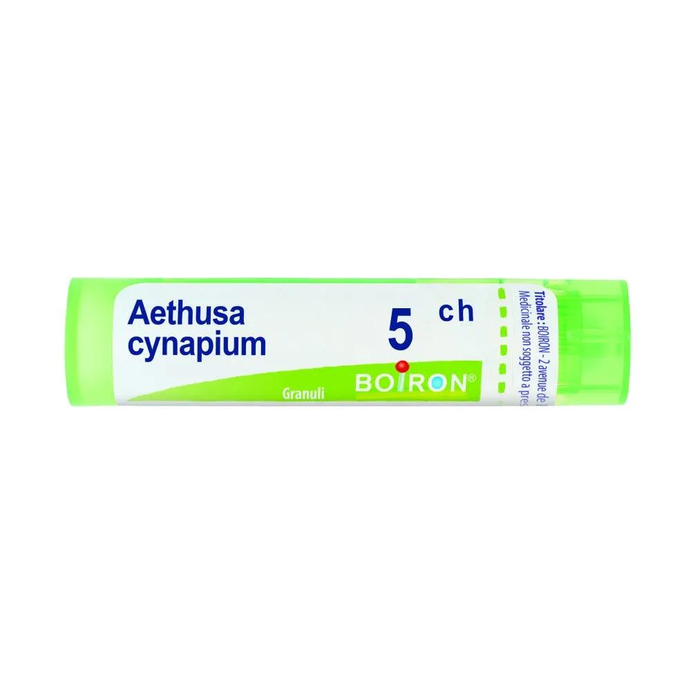 Boiron Aethusa Cynapium 5CH Granuli Tubo