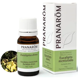 Pranarom Óleo Essencial de Eucalipto Mentol 10 ml