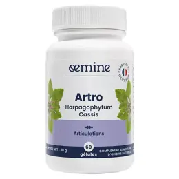 Oemine Artro Harpagophytum et Cassis 60 gélules