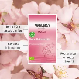 Weleda Maternité Tisane Allaitement Fruits Rouges Bio Lot de 3 x 20 sachets