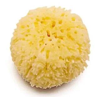 Olmitos Esponja Natural