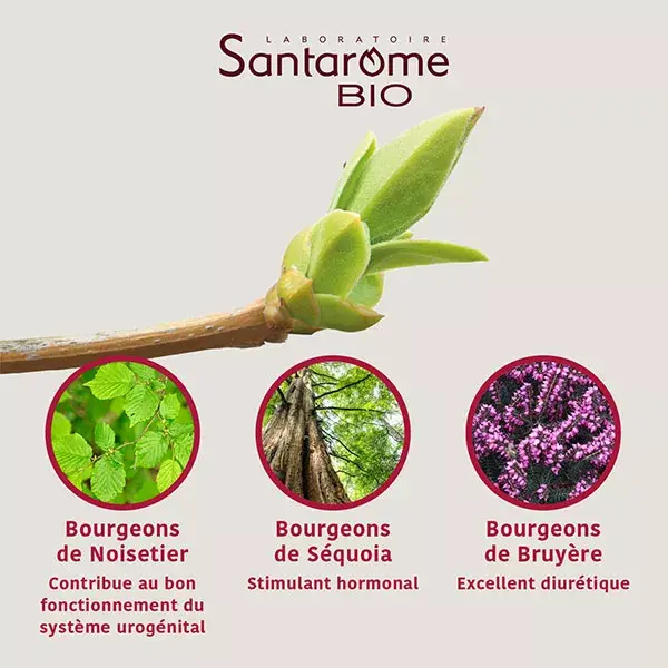 Santarome Bio Prostate 3 Organic and Fresh Buds Complex 30ml
