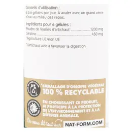 Nat & Form Original Artichaut 200 gélules