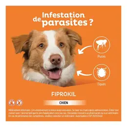 Clement Thekan Fiprokil Anti-Puces Anti-Tiques Chien 20-40kg 4 pipettes