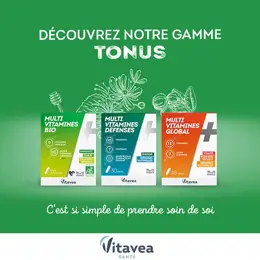 Vitavea Multi Vitamines Bio Immunité Tonus Equilibre nerveux 20 gélules