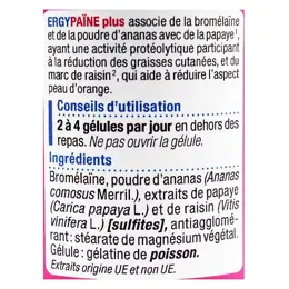 Nutergia Ergypaïne Plus 60 gélules