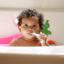 Nûby Blue Educational Toothbrush Set