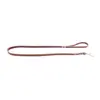 Martin Sellier Laisse en Cuir Surpiqué Classique 12mm x 1m Marron