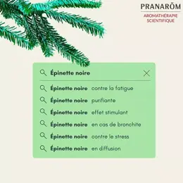 Pranarom Huile Essentielle Bio Épinette Noire 10ml