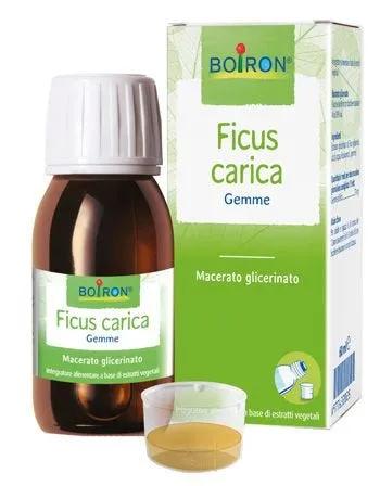 Ficus Carica Integratore 60 ml