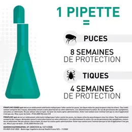 Frontline Combo Chien XL 6 pipettes