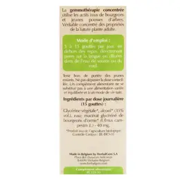 Herbalgem Macérat Concentré Orme Bio 30ml