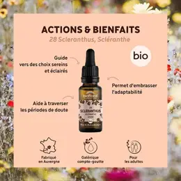 Biofloral Fleur De Bach 28 Scleranthus Scleranthe Compte Gouttes Bio 20 ml