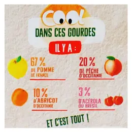 Vitabio Cool Fruits La Pat’ Patrouille Pomme Pêche Abricot Bio 12 x 90g