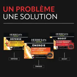 Herbesan Fatigue, Défense, Energie Complexe Boost - Cure de 30 jours
