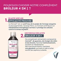 Vitavea Brûleur 4 en 1 Morosil Brûle Graisse, Cellulite, Métabolisme saveur pêche 400ml