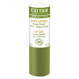 Cattier Soin des Lèvres Nourrissant Bio 4g