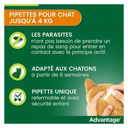 Advantage Solution Antipuce Chat Lapin 1 à 4kg 6 pipettes