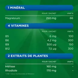 Berocca® Magnésium Fatigue/nervosité Mémoire/Concentration Program express 14j 14 sachets