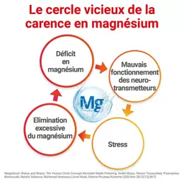 MAG 2 Gommes Pêche Magnésium Vitamine B6 Fatigue Nervosité 45 gommes