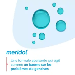 Méridol Bain de Bouche Parodont Expert 400ml