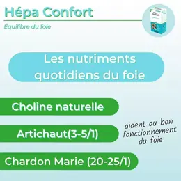 Nutrigée Hépa Confort 60 comprimés