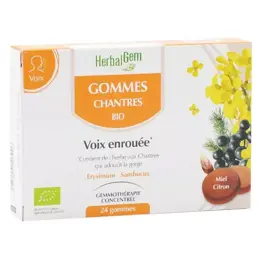 Herbalgem Macérat Concentré Gomme Chantres Bio 24 gommes