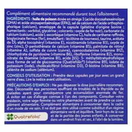 Gynéfam Supra Allaitement Boîte de 1 mois 60 capsules