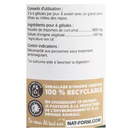 Nat & Form Original Curcuma 200 gélules