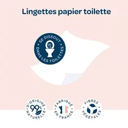 Biolane - Lingettes au Lait de Toilette - Nettoie, Hydrate, Protège -  72 unités