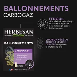 Herbesan Carbogaz 45 gélules