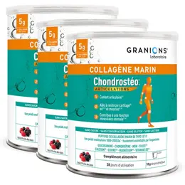 Chondrostéo+ Collagène Marin Confort Articulaire 280g Lot de 3