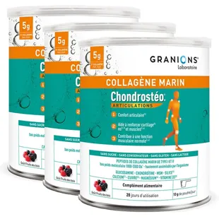 Chondrostéo+ Collagene Marino per il Comfort delle Articolazioni 280g Confezione da 3