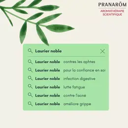 Pranarom Huile Essentielle Laurier Noble 30ml