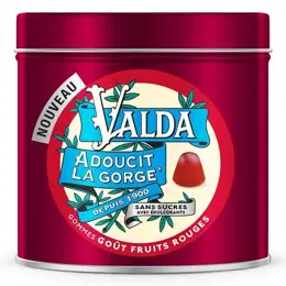 Valda Gommes Sans Sucres Fruits Rouges Adoucit La Gorge 140g