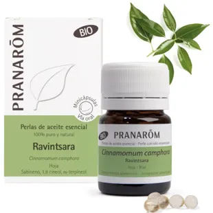 Pranarom Ravintsara Bio-Blatt 60 Minikapseln