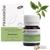 Pranarom Ravintsara Bio-Blatt 60 Minikapseln