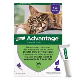Advantage Solution Antipuce Chat Lapin +4kg 4 pipettes