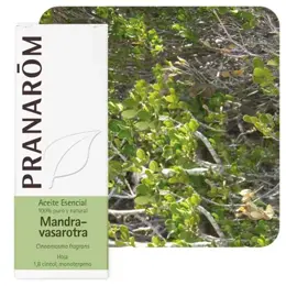 Pranarom Huile Essentielle Mandravasarotra 10ml