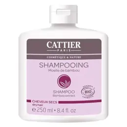 Cattier Shampoing Moelle de Bambou Bio 250ml